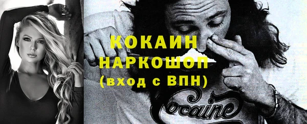 кокс Богородицк