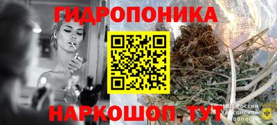 хмурый Гатчина