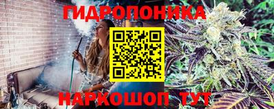 хмурый Гатчина
