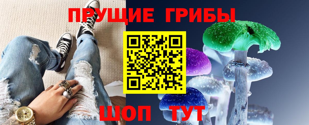 Псилоцибиновые грибы Psilocybine cubensis Славгород